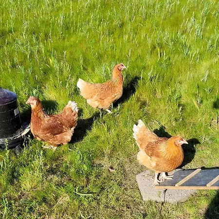 住宿加早餐酒店 Atma - Cozy And Simple *